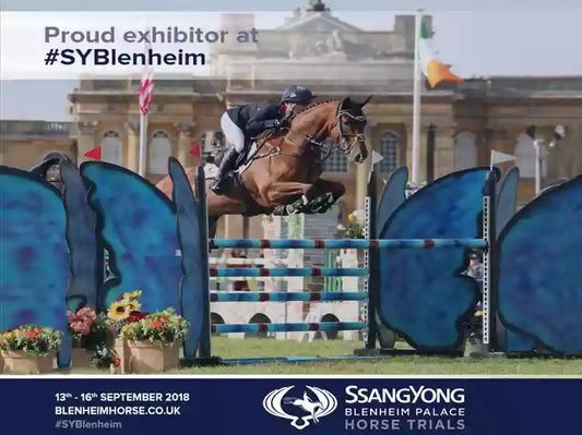 Come and visit InventSports at Blenheim Horse Trials this September Blog