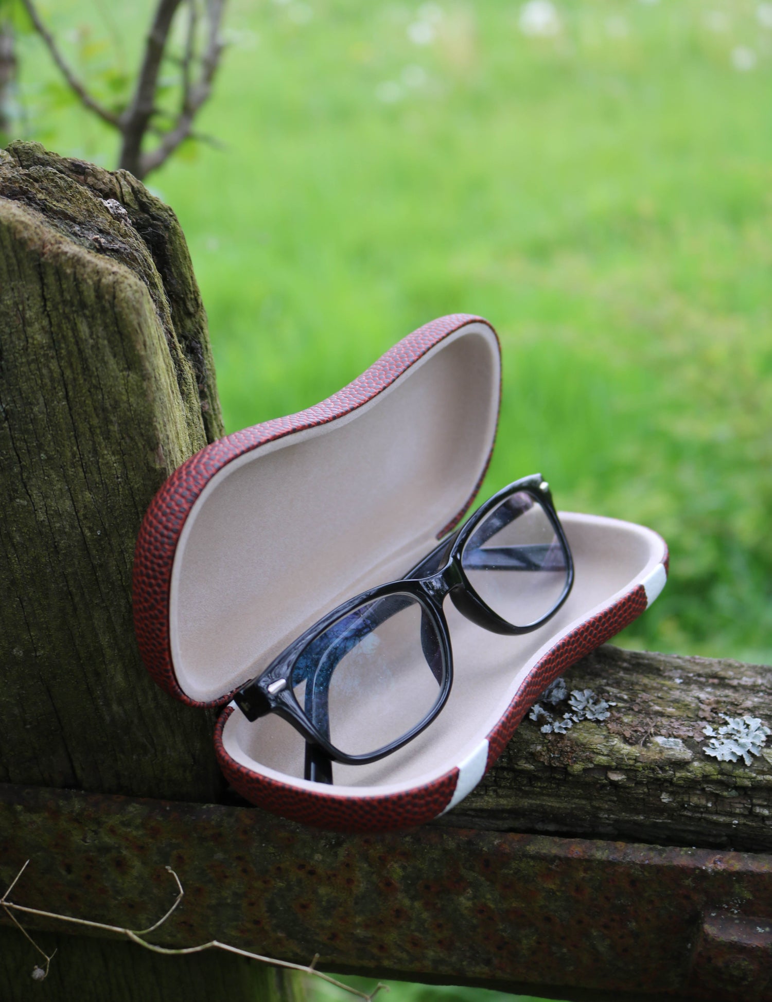 Glassess Cases
