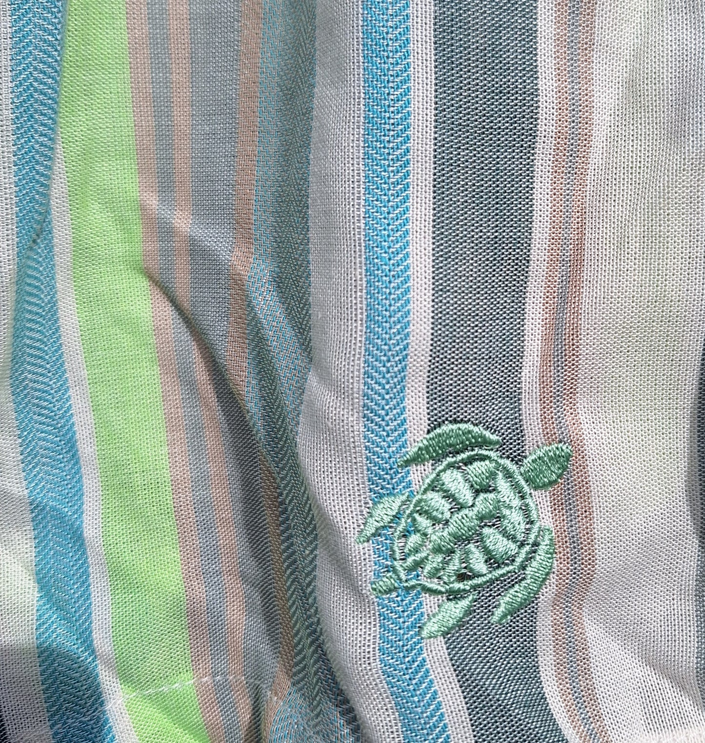 Green & Aqua SUMMER STRIPES Shorts