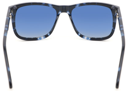 Polarised BOLONIA Sunglasses Behind View