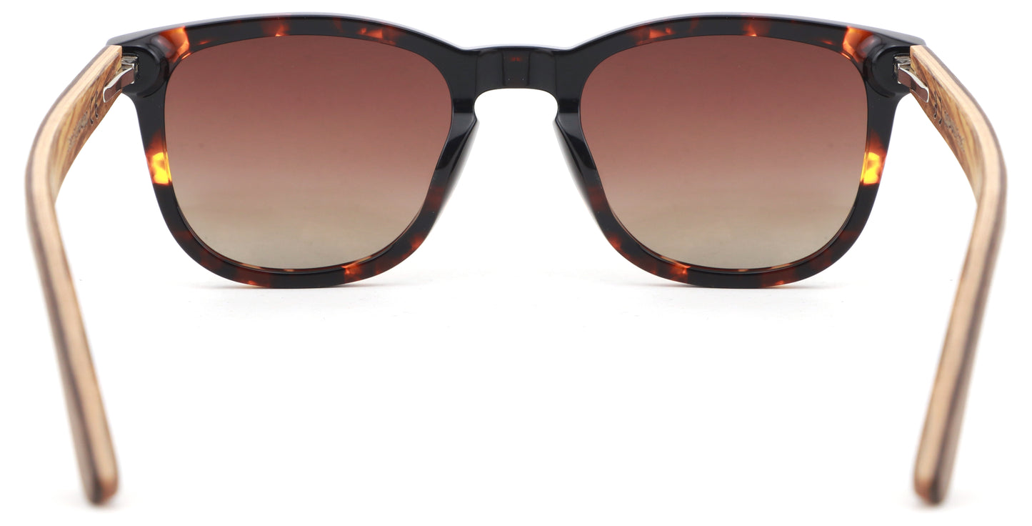 Polarised CHICLANA Sunglasses Back View