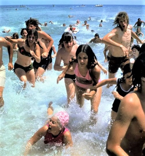 AMITY T-Shirt Scene From JAWS