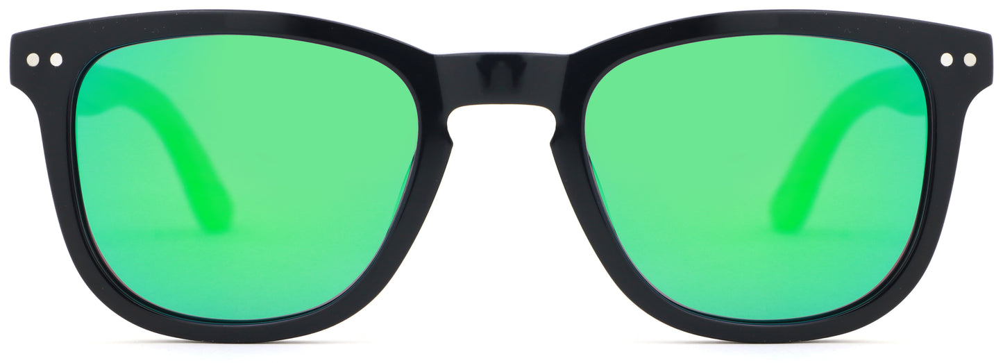 Polarised PALMAR Sunglasses