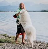 Wave Style Poncho DOS