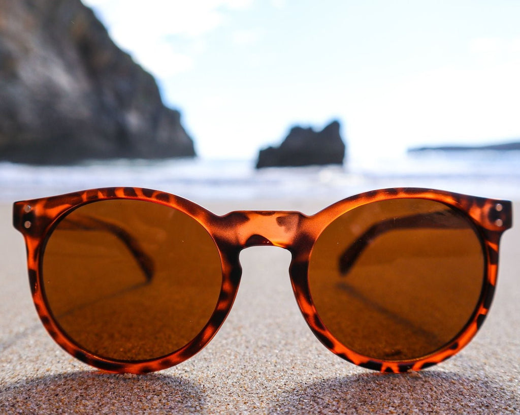 Polarised X-UP Sunglasses At The Beach Surfing